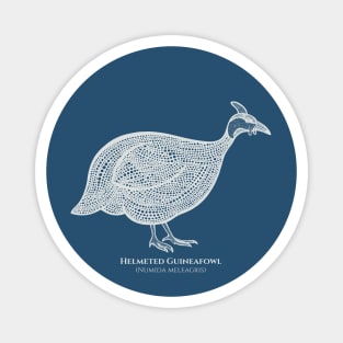 Helmeted Guineafowl with Common and Latin Names - bird design Magnet